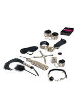 Master Slave 1 in 5 languages