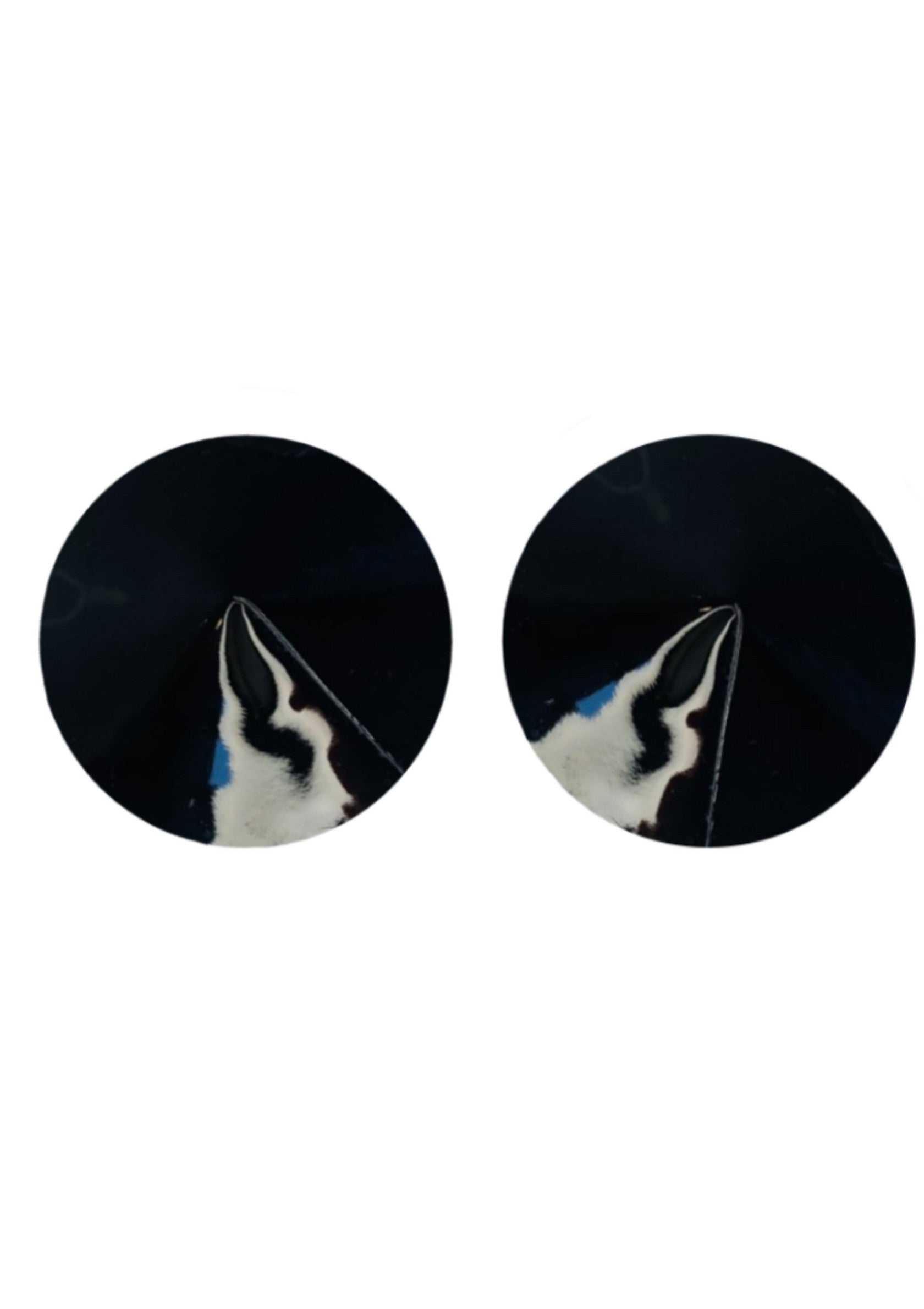 Nipple Covers Gloss Nipple Covers Gloss