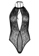 Deep-V Lace Teddy