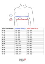 Balconette push-up lace bra