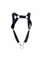 DNGEON Straight Back Harness