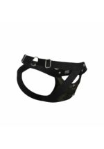 DNGEON Peekaboo Jock