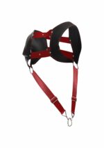 DNGEON Top Cockring Harness