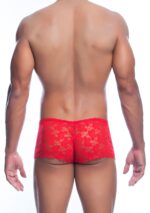 Rose Lace Boy Short