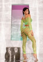 Net Crop Top and Footless Tights