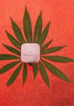 Sensual Lip Balm 7 ml