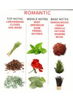 Pheromone Attract Her 50 ml