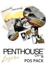 Penthouse POS Toolkit Store